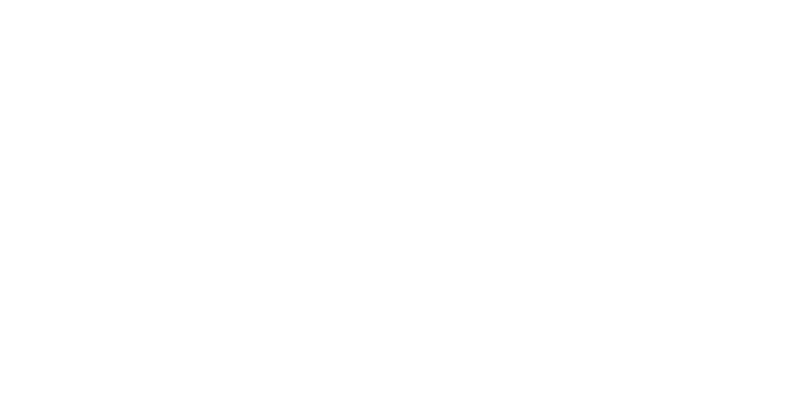 VSS Logistics Group